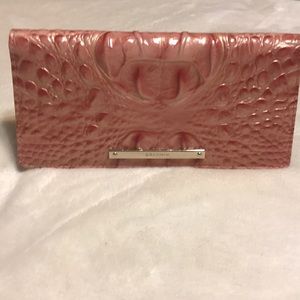 Brahmin Ady wallet